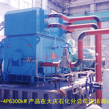 大慶石化（2006年 ，YAKS710-4P，1臺(tái)）